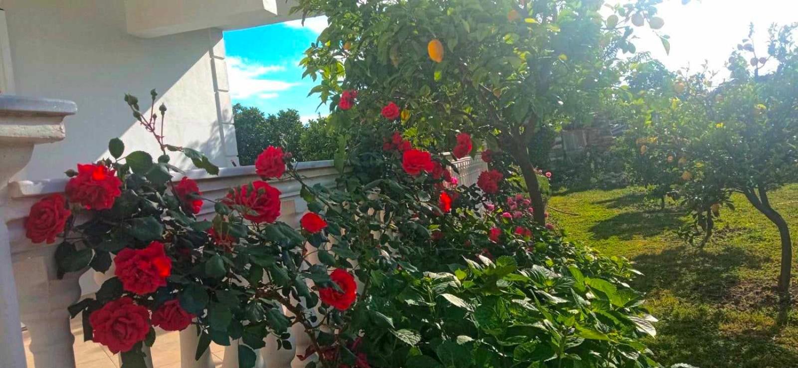 Helen Apartments Лукове Экстерьер фото